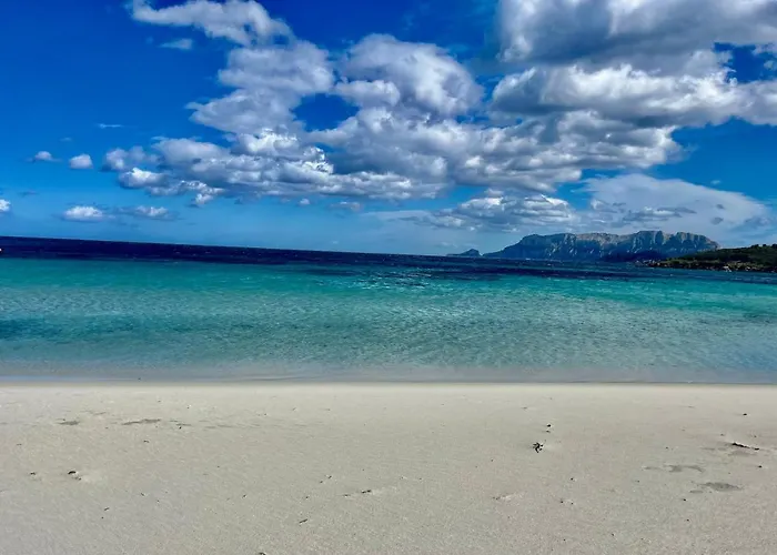 Hotel Stefania Boutique By The Olbia