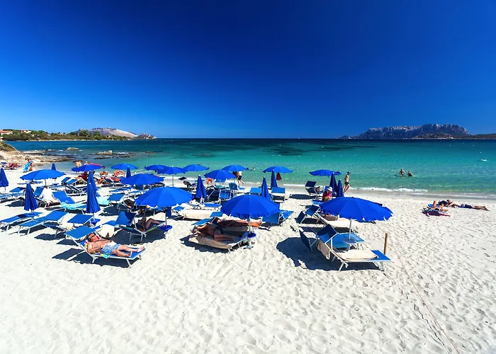 Hotel Stefania Boutique By The Olbia